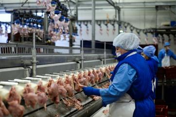 В России почти вдвое выросло потребление мяса